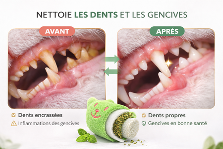 L'amie des chats Sauve-Sourire | Jouet pour attraper des dents - ultra résistant